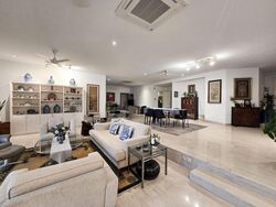 Astrid Meadows (D10), Condominium #519387991